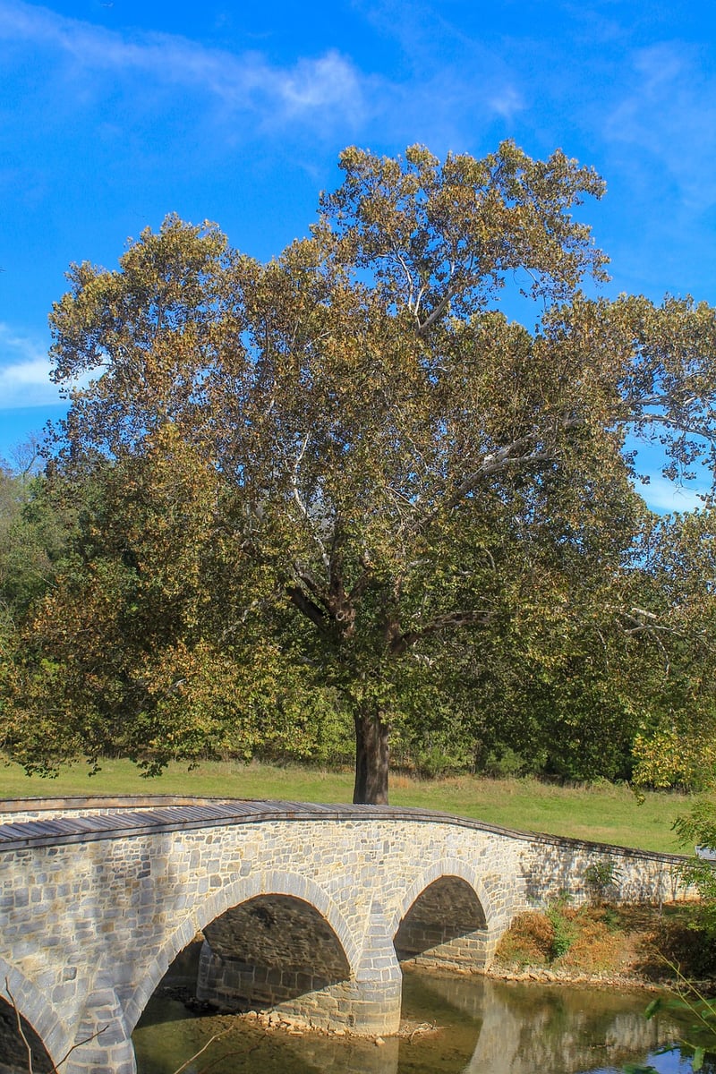 Historical Witnesses